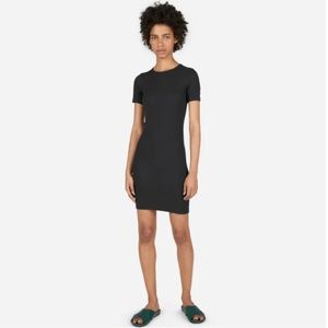 Everlane Pima Microrib Tee Dress